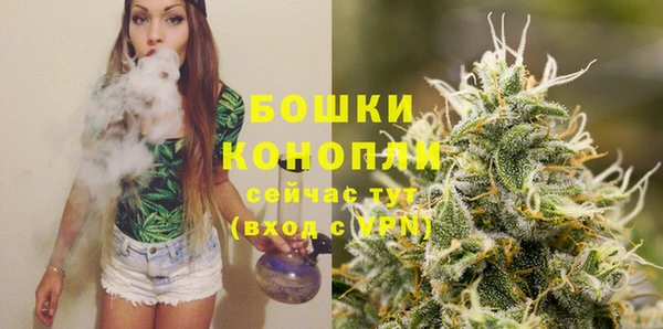 бошки Арсеньев