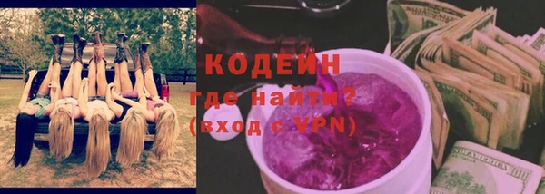 стаф Осинники
