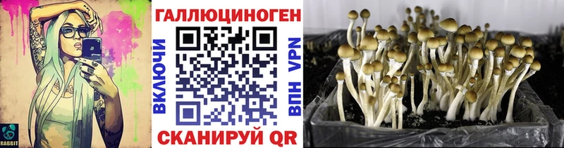 Псилоцибиновые грибы Psilocybine cubensis закладки блэк спрут маркетплейс Новый Оскол